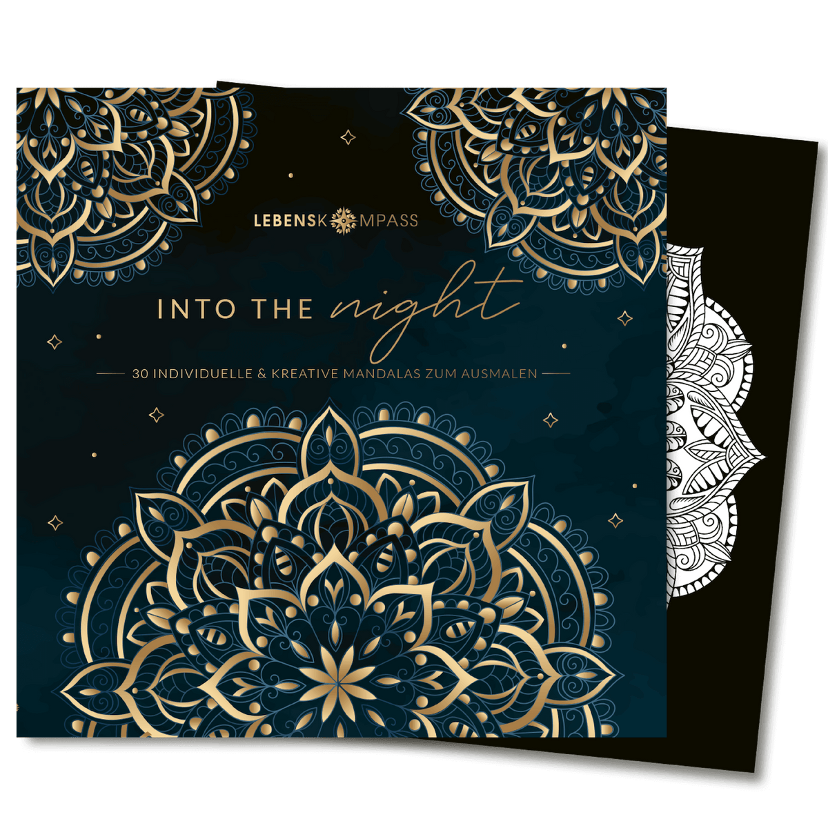 Mandala Malbuch Erwachsene "Into the Night"