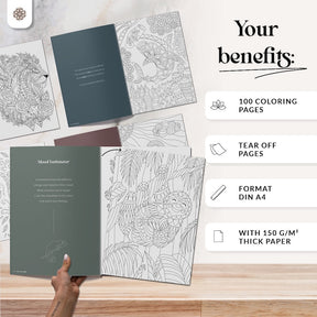 XXL Malbuch für Erwachsene - 100 Motive - Englische Version